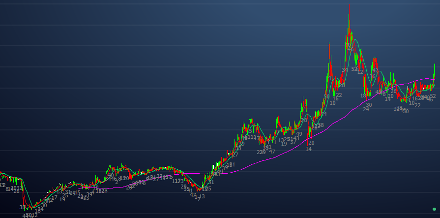 Gráfico de Preços no Longo Prazo da Grazziotin